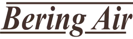 undefined web checkin