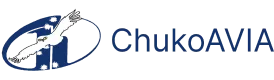 undefined web checkin