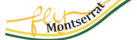 undefined web checkin