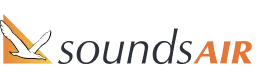 undefined web checkin