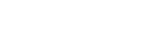 web checkin